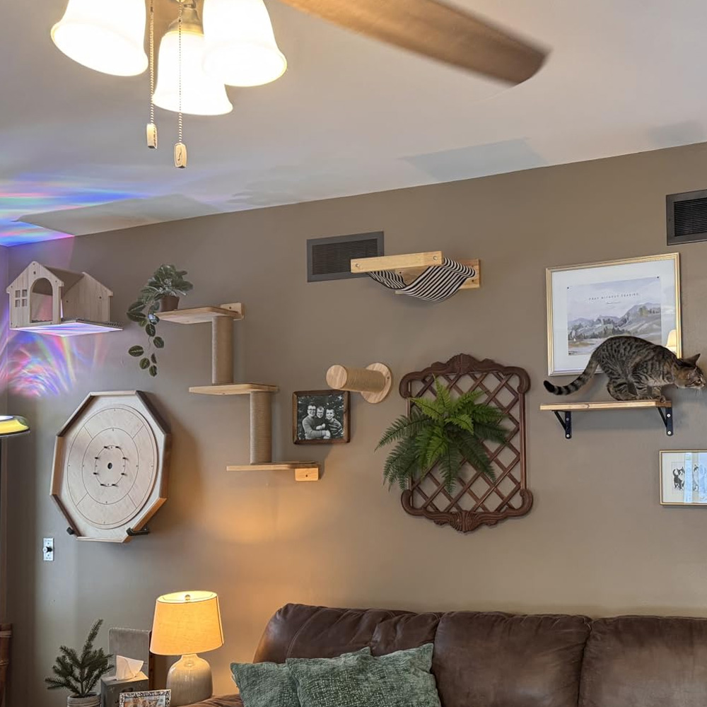Furniture Paradise & Hardware Ghaziabad Reviews - Móveis para Gatos: Ponte Suspensa de