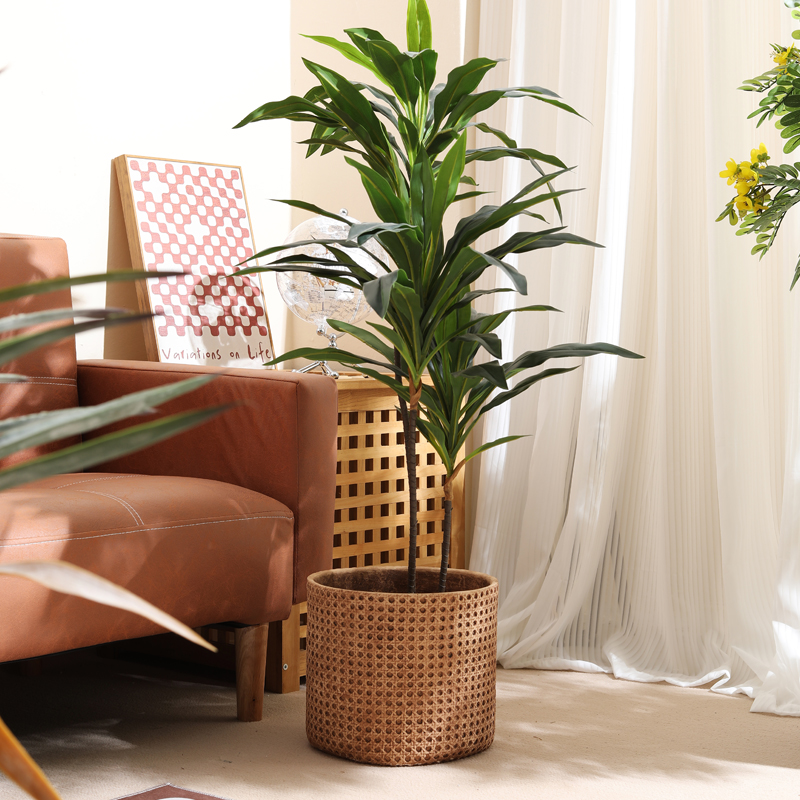 Móveis para apartamentos peque - Furniture Paradise & Hardware Ghaziabad Reviews avaliação e preço